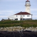 lighthouse_island_seal_machias_v_0342_can0714.jpg